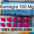 Kamagra 100 Mg 35